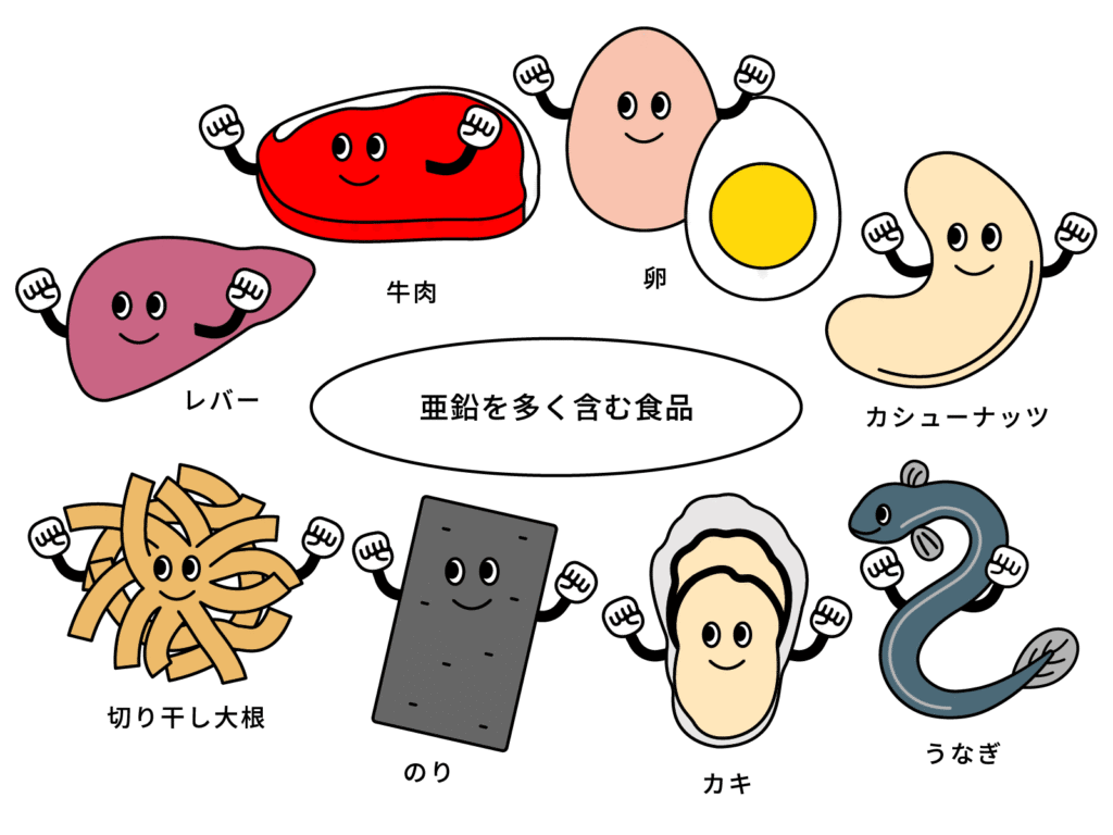 亜鉛を多く含む食品(Zn)をカテゴリ別に網羅したイラスト図解。カキやサバなどの魚介類、アーモンドやカシューナッツの種実類、豚レバーや牛肉赤身の肉類、納豆や豆腐の豆類、ワカメやのりの藻類など、妊活中にバランスよく取り入れたい代表的な食材一覧。